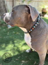 Load image into Gallery viewer, Pine Green Agate Semi-precious Gem Bead Collar [Decorative Only]