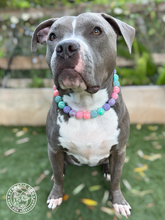 Load image into Gallery viewer, Pixie Glam Bead Collar