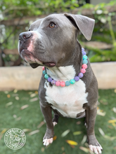 Load image into Gallery viewer, Pixie Glam Bead Collar