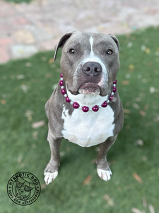 Burgundy Luxe Bead Collar