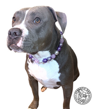 Load image into Gallery viewer, Cosmic Frost Bead Collar