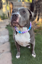 Load image into Gallery viewer, Bubblegum Gradient Bead Collar