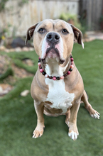 Load image into Gallery viewer, Zen Bead Collar