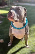 Load image into Gallery viewer, Blue Glitter ✨ Resin Bead Collar