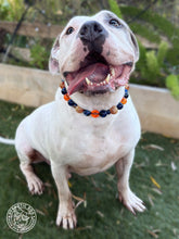 Load image into Gallery viewer, Navy &amp; Ember Acrylic Bead Collar
