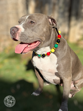 Load image into Gallery viewer, Reggae Stripes Bead Collar