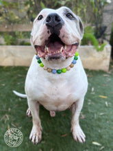 Load image into Gallery viewer, Summer Camp Acrylic Bead Collar