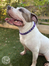 Load image into Gallery viewer, Purple Glitter ✨ Resin Bead Collar
