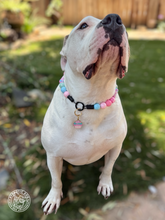 Load image into Gallery viewer, *NEW* Enamel Dog Personalized Name Tags