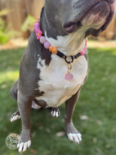 Load image into Gallery viewer, *NEW* Enamel Dog Personalized Name Tags