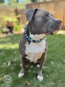 Thunder Bay Acrylic Bead Collar