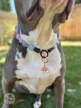 Load image into Gallery viewer, *NEW* Enamel Dog Personalized Name Tags