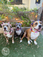 Load image into Gallery viewer, Pink Luau 🌺 Bead Collar