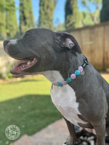 Bubblegum Waves Coin Bead Collar