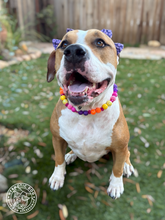 Load image into Gallery viewer, Sunset Sparkles Glam Bead Collar