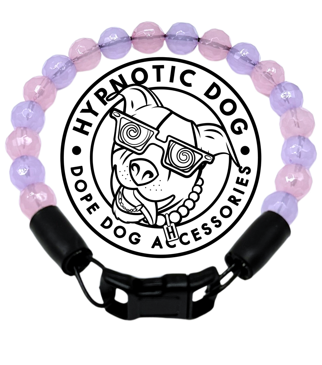 XS Pink & Purple Jewel Acrylic Bead Collar [Small Dog/Cat Bead Collar]