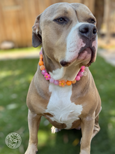Load image into Gallery viewer, Sunrise Daisies Glam 🌼 Silicone Bead Collar