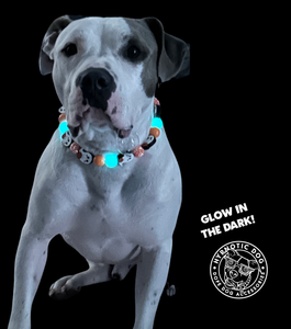 🟧 16.5" Slip On (Black O-Ring) Boo 👻 Halloween Glow Bead Collar - PRE-MADE/FINAL SALE