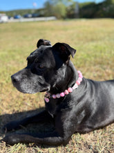 Load image into Gallery viewer, Pink Ghost Glam Bead Collar