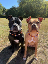 Load image into Gallery viewer, Velvet Autumn Bead Collar