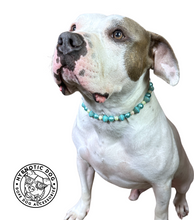 Load image into Gallery viewer, Medium Turquoise Bead Collar