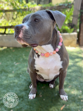 Load image into Gallery viewer, Peachy Petals Bead Collar