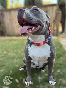 Retro Groovy 🌼 Bead Collar