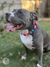 Load image into Gallery viewer, Retro Groovy 🌼 Bead Collar