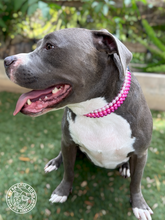 Load image into Gallery viewer, Strawberry Shortcake Triplo Pearl Acrylic Bead Collar