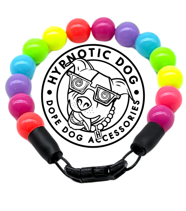 Tropical Rainbow MINI Acrylic [Small Dog/Cat Bead Collar]