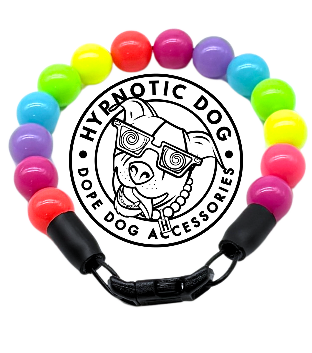 Tropical Rainbow MINI Acrylic [Small Dog/Cat Bead Collar]
