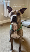 Load image into Gallery viewer, Poseidon Green Bead Collar