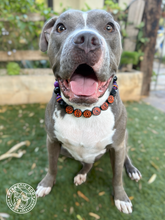 Load image into Gallery viewer, PERSONALIZED Fright Night Bead Collar