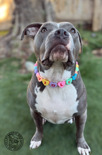 Load image into Gallery viewer, PERSONALIZED Candy Sweetheart Bead Collar