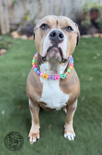 Load image into Gallery viewer, PERSONALIZED Candy Sweetheart Bead Collar