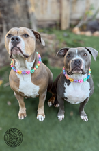 Load image into Gallery viewer, PERSONALIZED Candy Sweetheart Bead Collar
