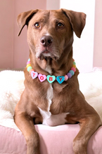 Load image into Gallery viewer, PERSONALIZED Candy Sweetheart Bead Collar