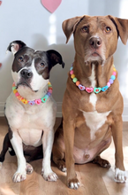 Load image into Gallery viewer, PERSONALIZED Candy Sweetheart Bead Collar