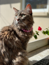 Load image into Gallery viewer, Pink Clouds XS Acrylic [Small Dog/Cat Bead Collar]