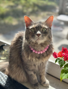 Pink Clouds XS Acrylic [Small Dog/Cat Bead Collar]