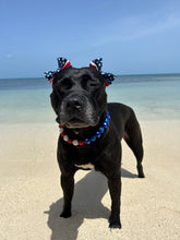Load image into Gallery viewer, Stars &amp; Stripes Bead Collar