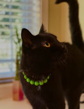 Load image into Gallery viewer, Citrus Green MINI Acrylic [Small Dog/Cat Bead Collar]
