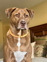 Load image into Gallery viewer, Mango Stripes Bead Collar