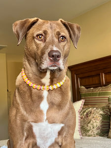 Mango Stripes Bead Collar