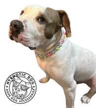 Load image into Gallery viewer, 🟧 18.5&quot; Slip On (Black O-Ring) 🦋 Y2K Butterfly Bead Collar - PRE-MADE/FINAL SALE