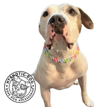 Load image into Gallery viewer, 🟧 18.5&quot; Slip On (Black O-Ring) 🦋 Y2K Butterfly Bead Collar - PRE-MADE/FINAL SALE