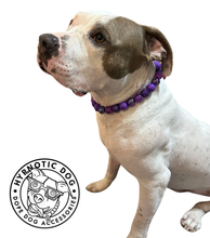Load image into Gallery viewer, Violet Shimmer Bead Collar