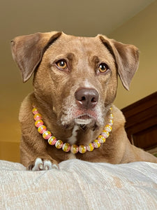 Mango Stripes Bead Collar