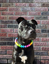 Load image into Gallery viewer, 🟧 17&quot; Slip On (Black O-Ring) Tropical Rainbow Acrylic Bead Collar - PRE-MADE/FINAL SALE