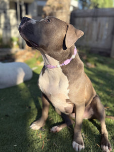 Lilac Rose Bead Collar